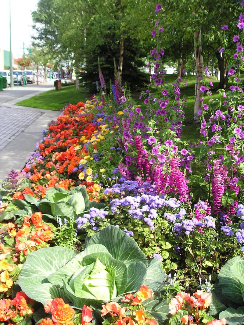 A garden filled with lots of different types of flowers and vegetables.