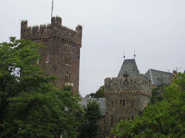 A castle with a flag on top of it is surrounded by trees.