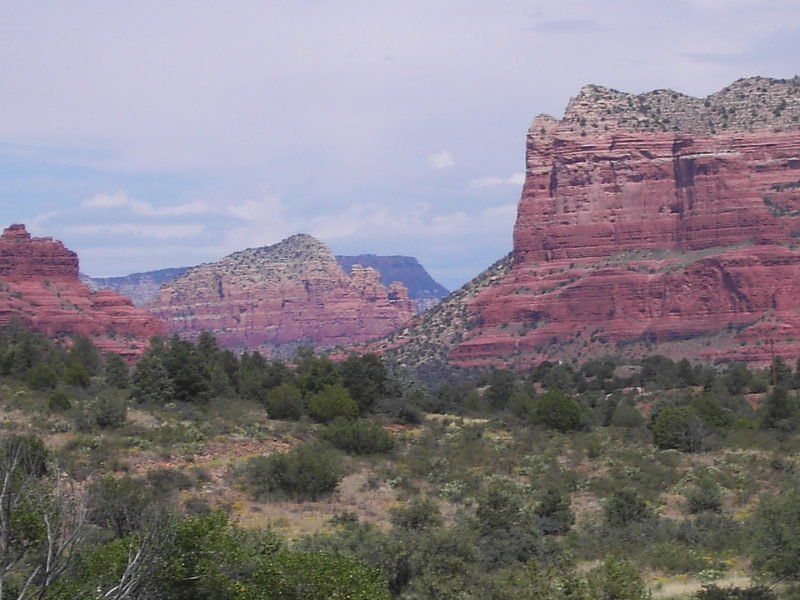 A landscape with mountains and trees in the background