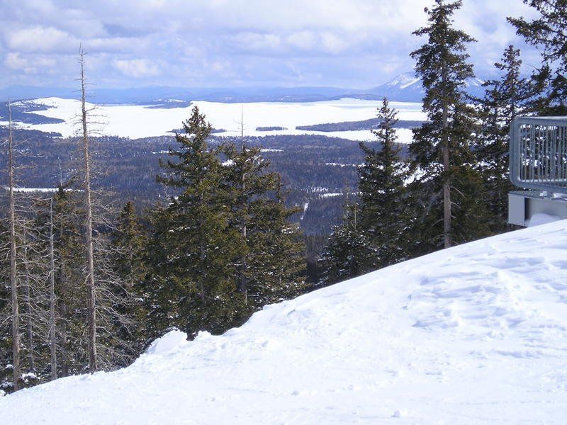 A snowy landscape with trees and mountains in the background