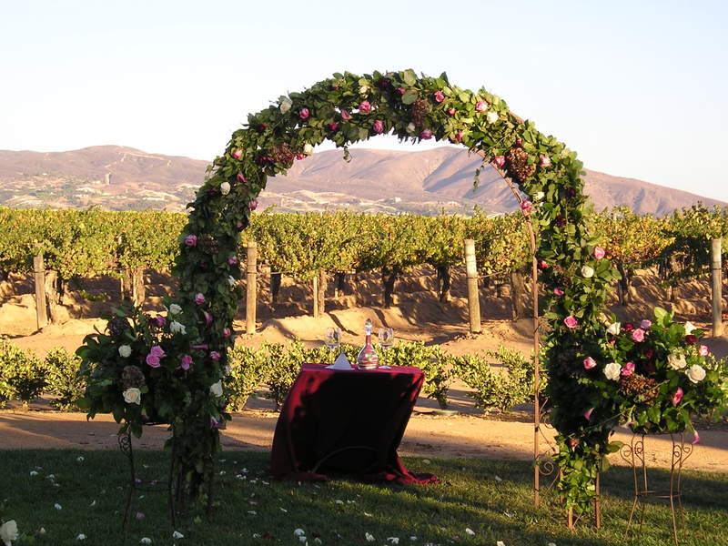 A table in front of a floral arch in a vineyard