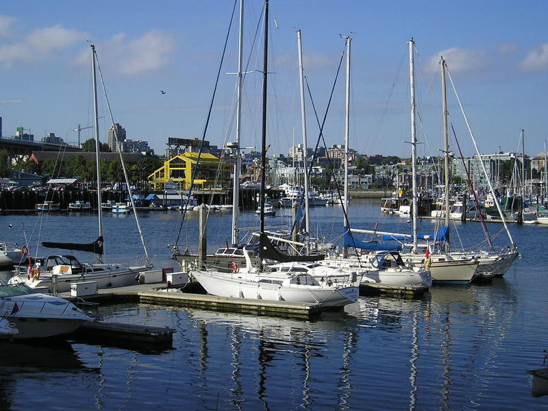A group of sailboats are docked in a harbor
