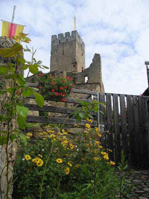 A castle behind a wooden fence with flowers in front of it