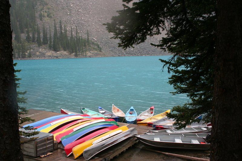 A bunch of canoes are sitting on a dock near a lake