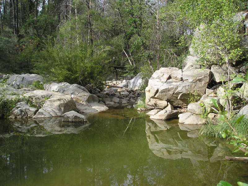 A pond surrounded by rocks and trees in the middle of a forest