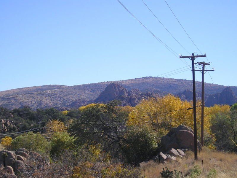 Telephone poles in a field with mountains in the background
