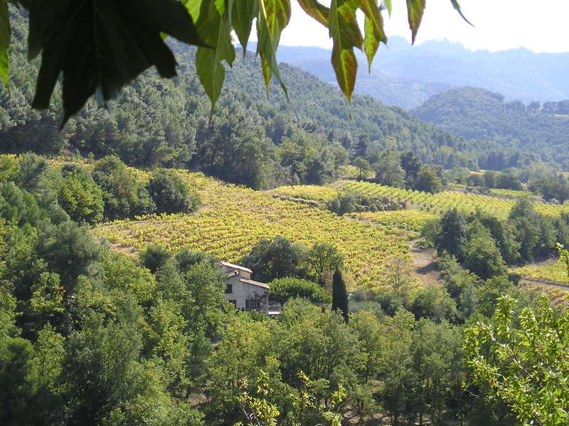 A house sits in the middle of a lush green field