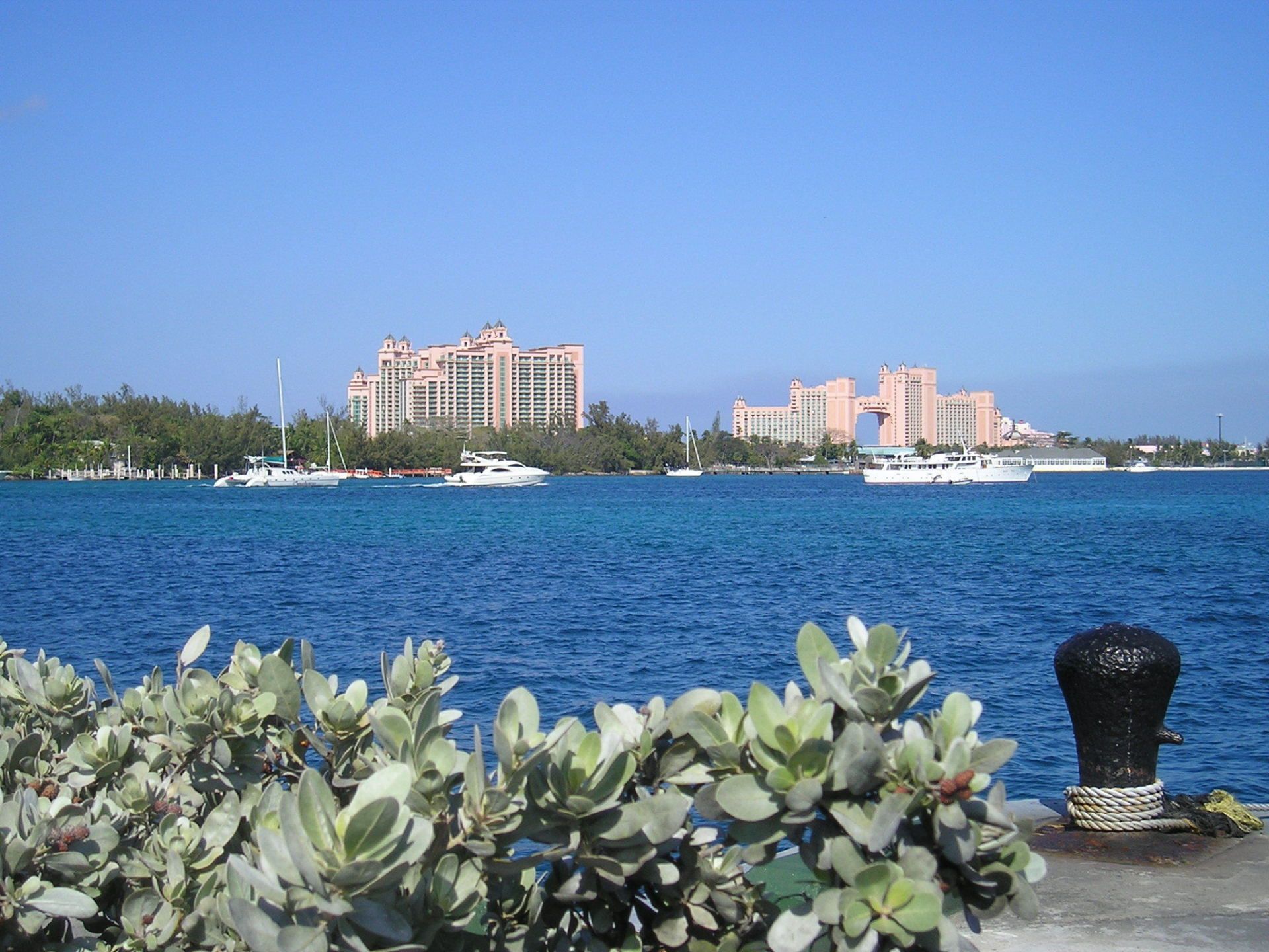 A view of a body of water with a city in the background