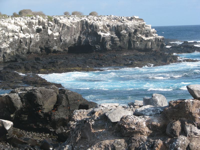 A rocky shoreline with a large body of water in the background