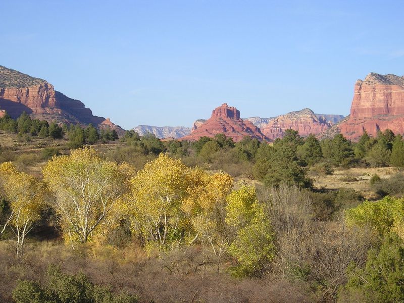 A landscape with trees and mountains in the background
