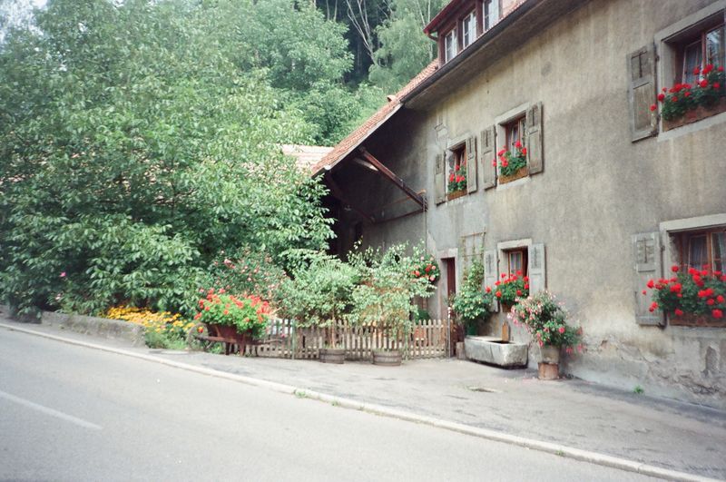 A house with flowers in the windows is along the side of the road