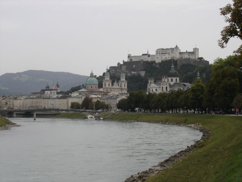 A river runs through a city with a castle in the background