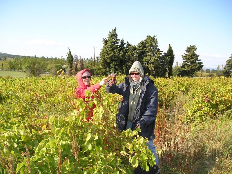 Two people standing in a field with trees in the background
