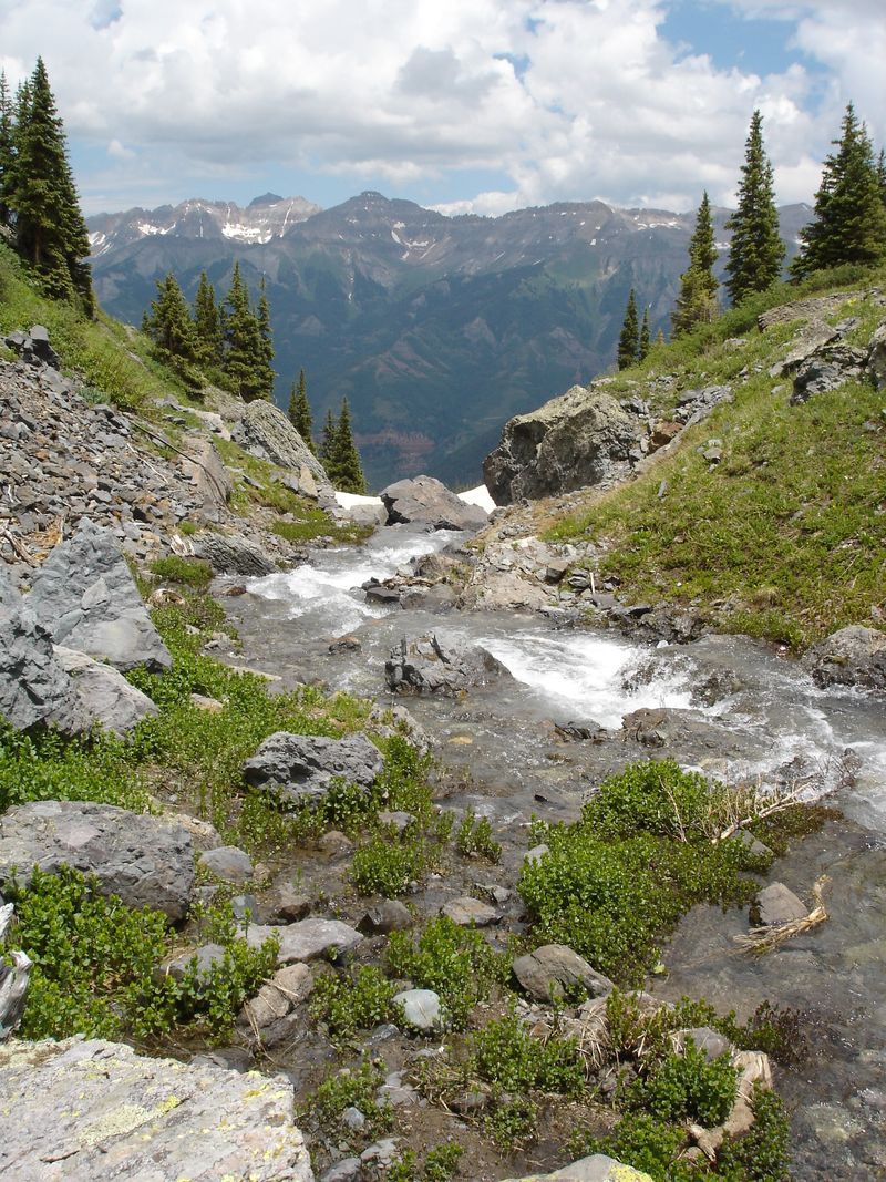 A river flowing through a lush green field with mountains in the background