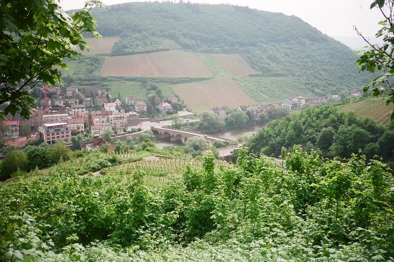 A lush green hillside with a small town in the distance