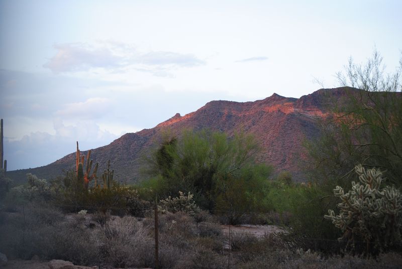 A desert landscape with a mountain in the background and a cactus in the foreground.