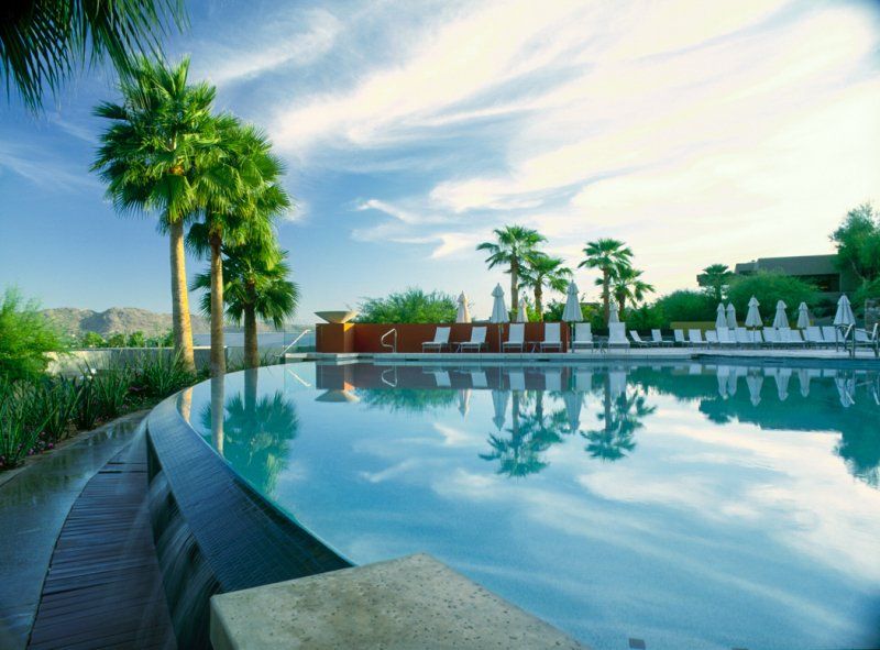 A large swimming pool surrounded by palm trees and chairs