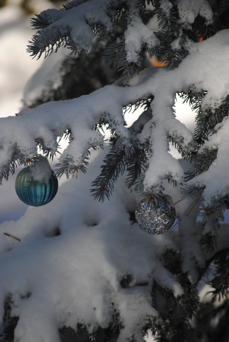 A blue and silver ornament hangs from a snow covered christmas tree