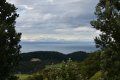 A blurry picture of a landscape with trees and mountains in the background.