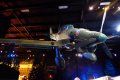 A statue of a dinosaur is hanging from the ceiling of a building.