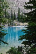 A blue lake in the middle of a forest surrounded by trees.