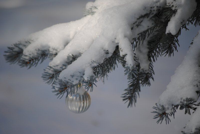 A christmas ornament is hanging from a snow covered tree branch.