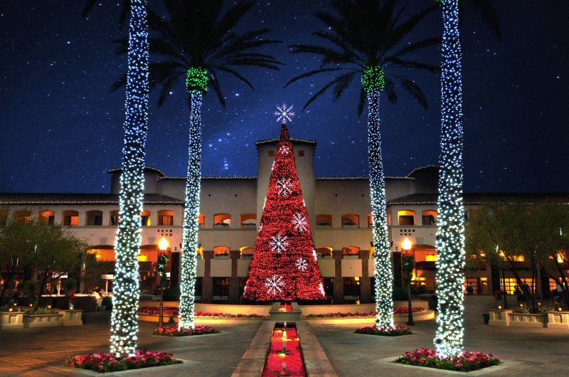 A large christmas tree is surrounded by palm trees