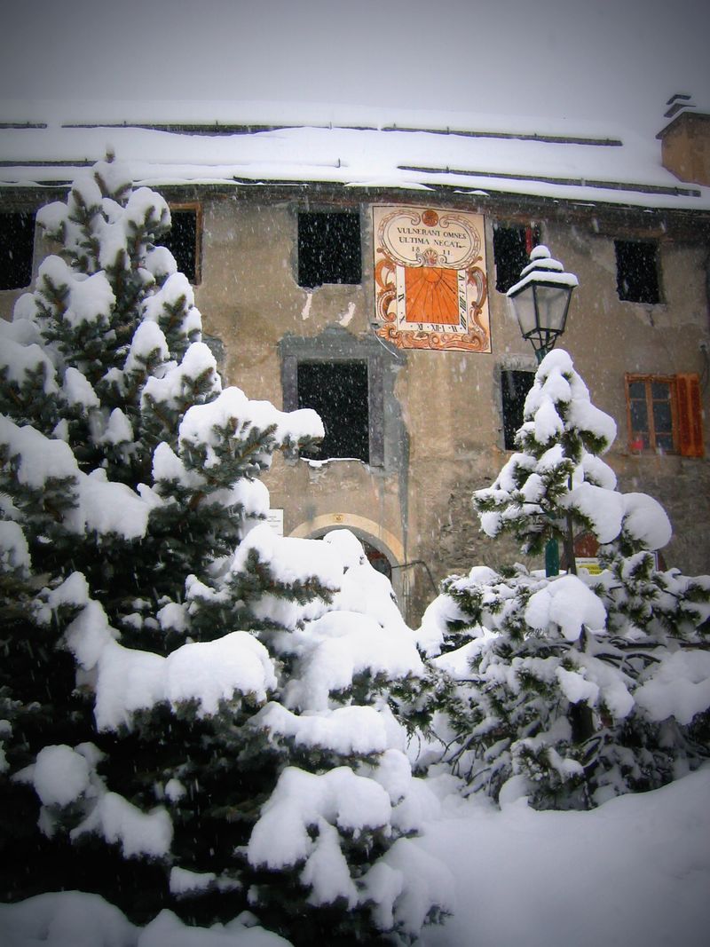 Snow covered trees and bushes in front of a building