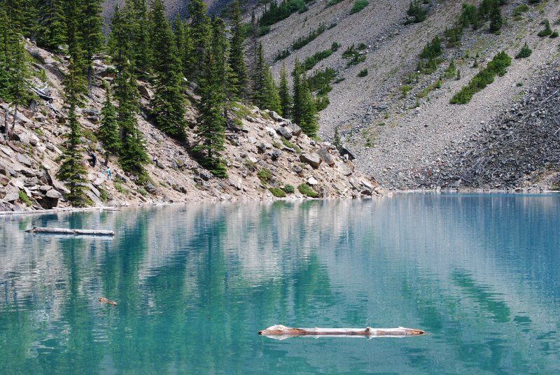 A log is floating on top of a lake in the mountains.