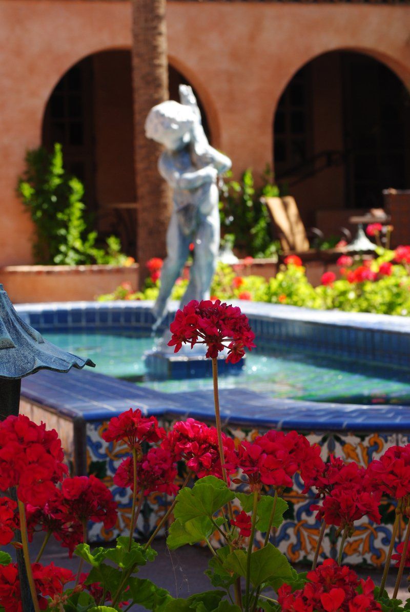 A fountain surrounded by red flowers and a statue of a woman