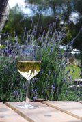A glass of wine is sitting on a wooden table.