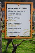 A sign that says `` from vine to glass '' is hanging on a tree.