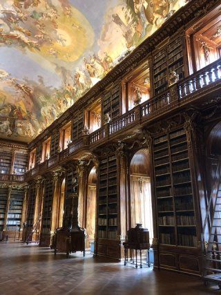 A large library with lots of bookshelves and a painting on the ceiling.