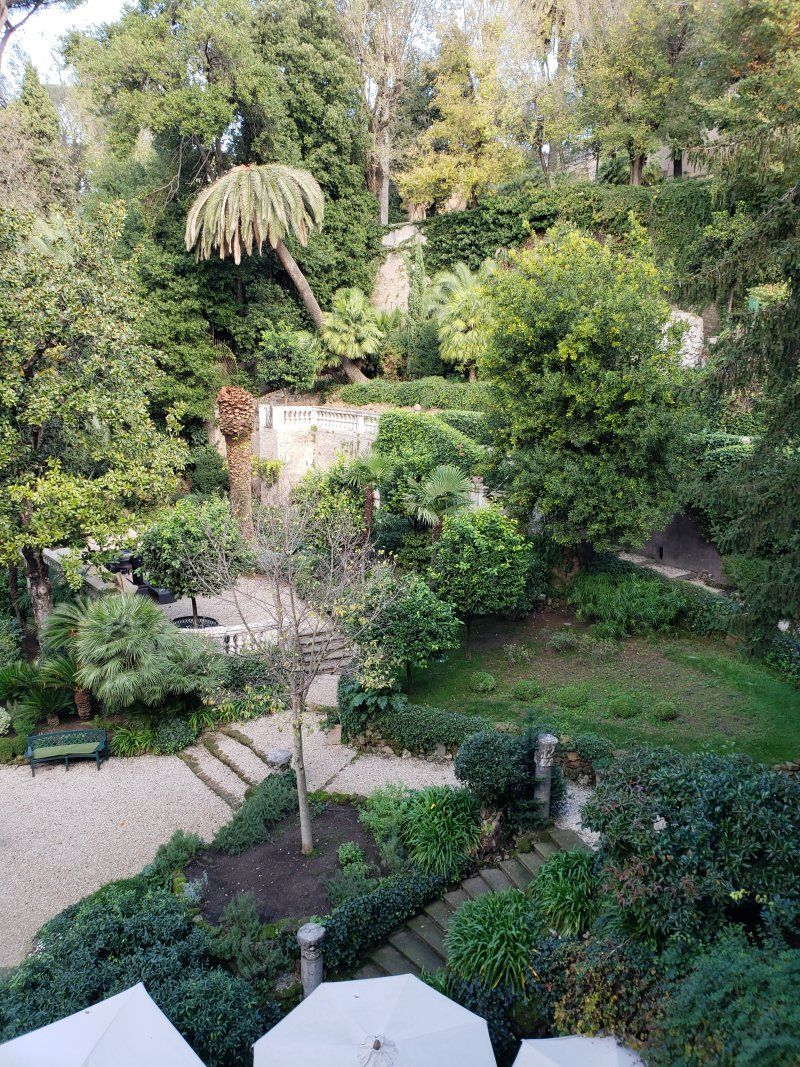 An aerial view of a garden filled with lots of trees and umbrellas.