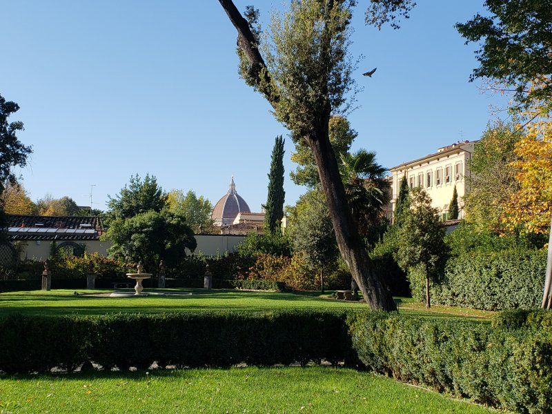 A lush green park with a dome in the background