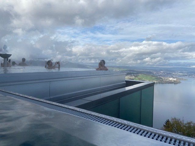 A group of people are swimming in an infinity pool overlooking a lake.