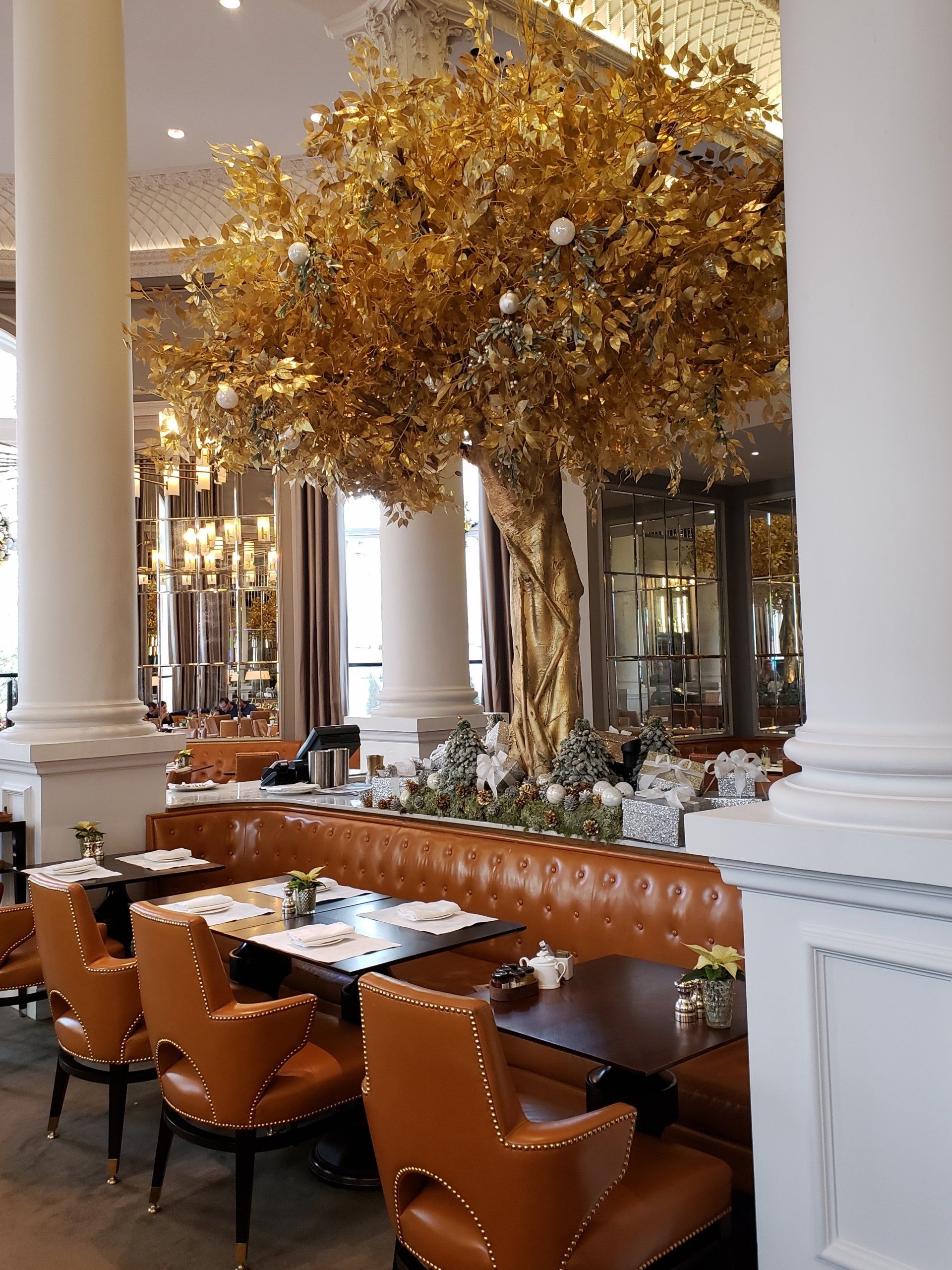 A restaurant with tables and chairs and trees in the background.