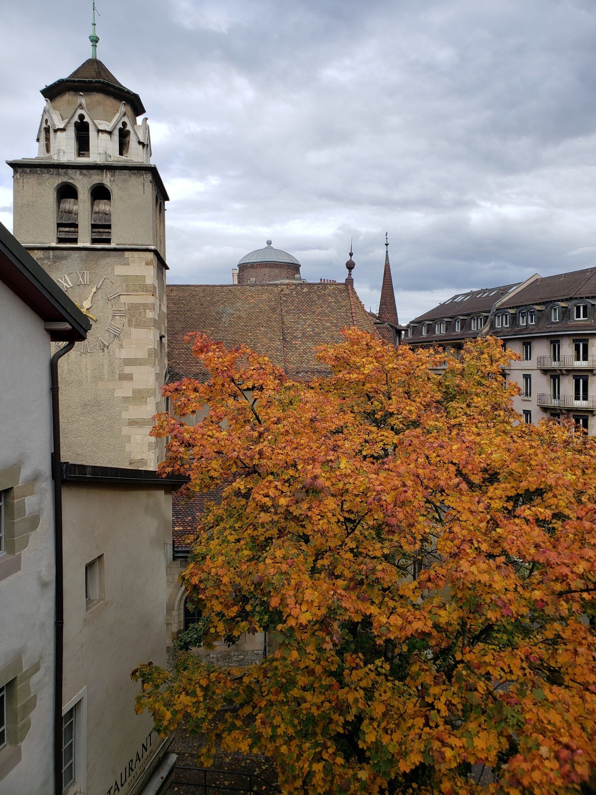 A tree with yellow leaves is in front of a church tower