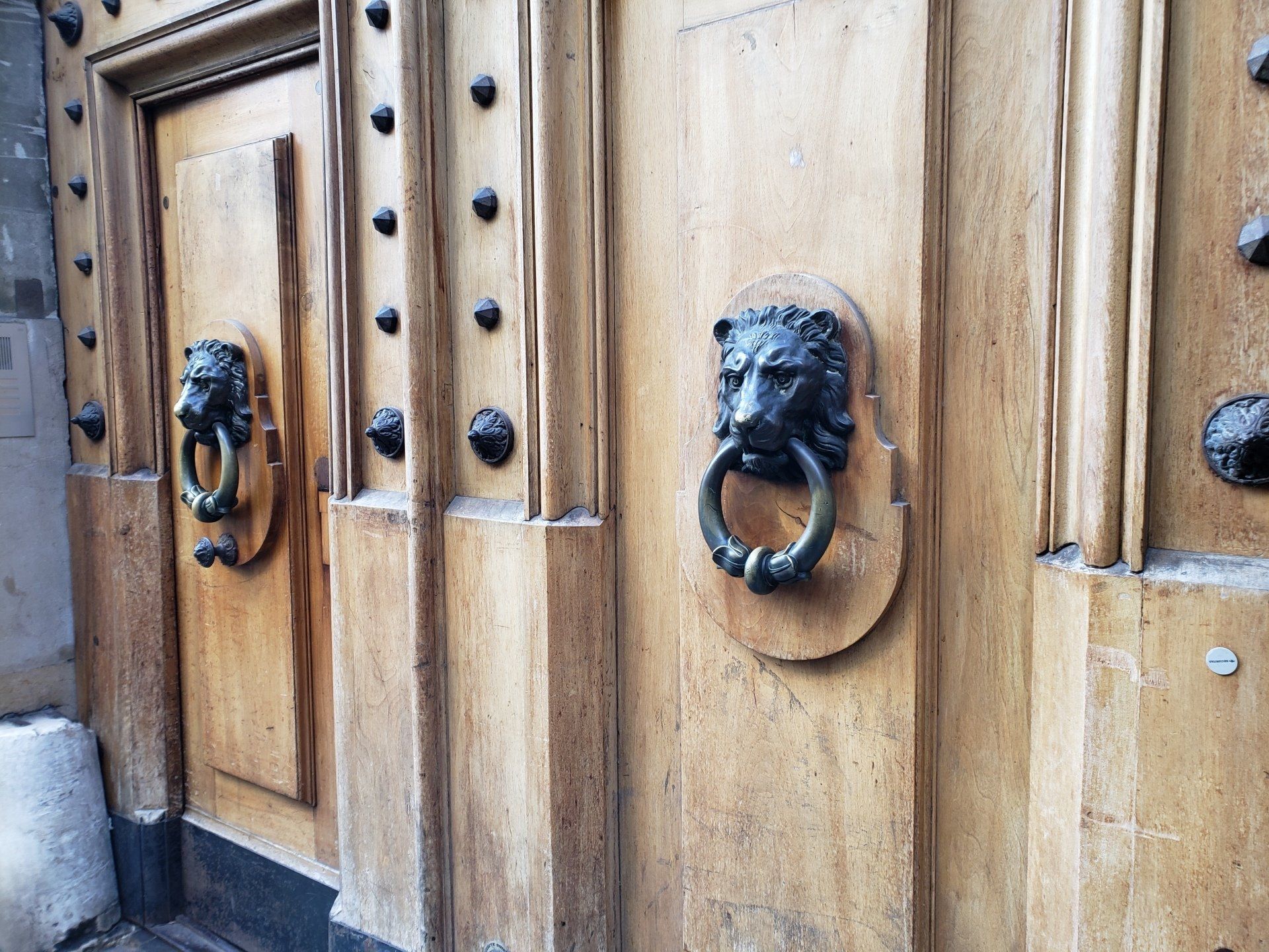 A wooden door with a lion head door knocker on it.