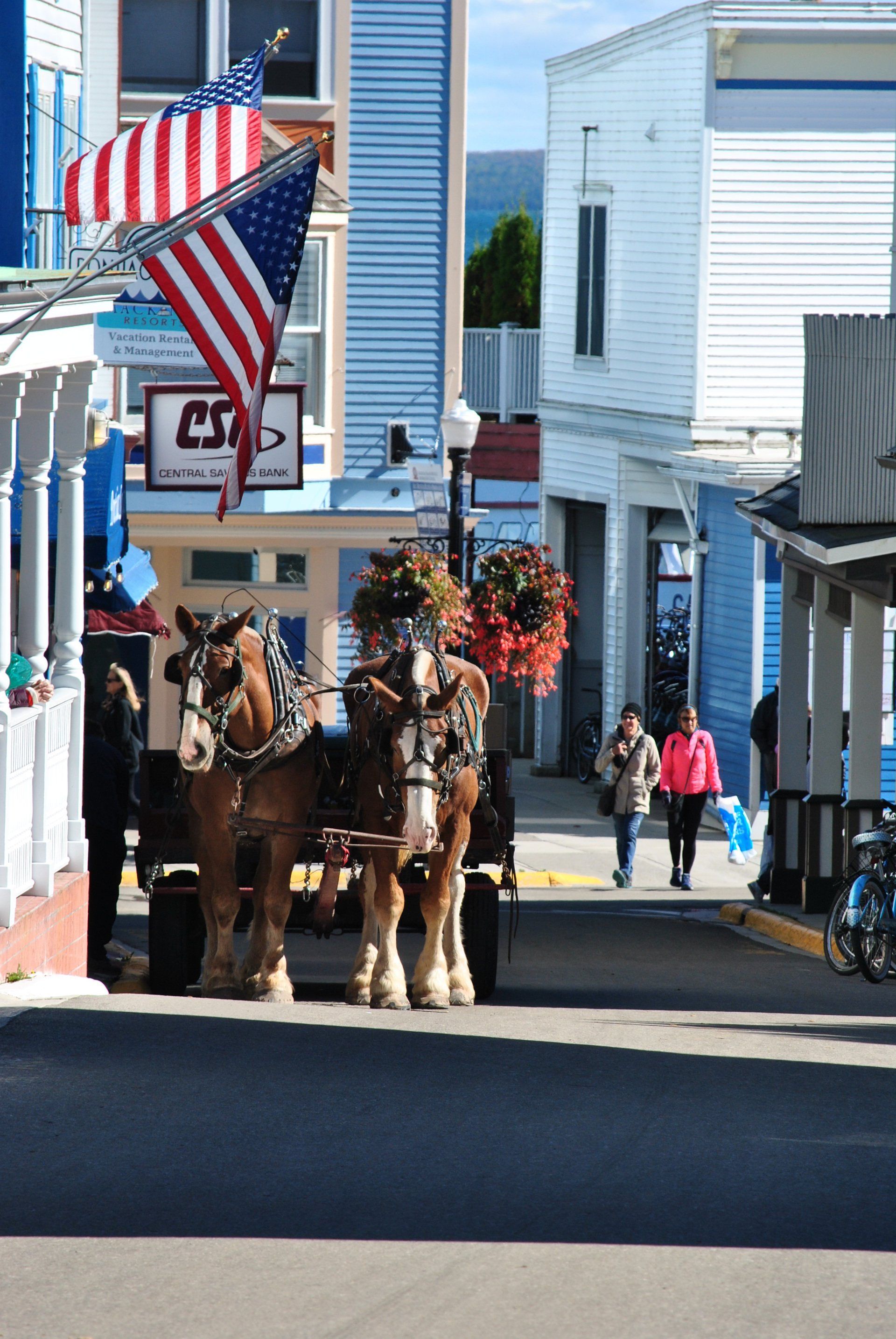 Two horses pulling a carriage down a street in front of a sign that says ' a ' on it