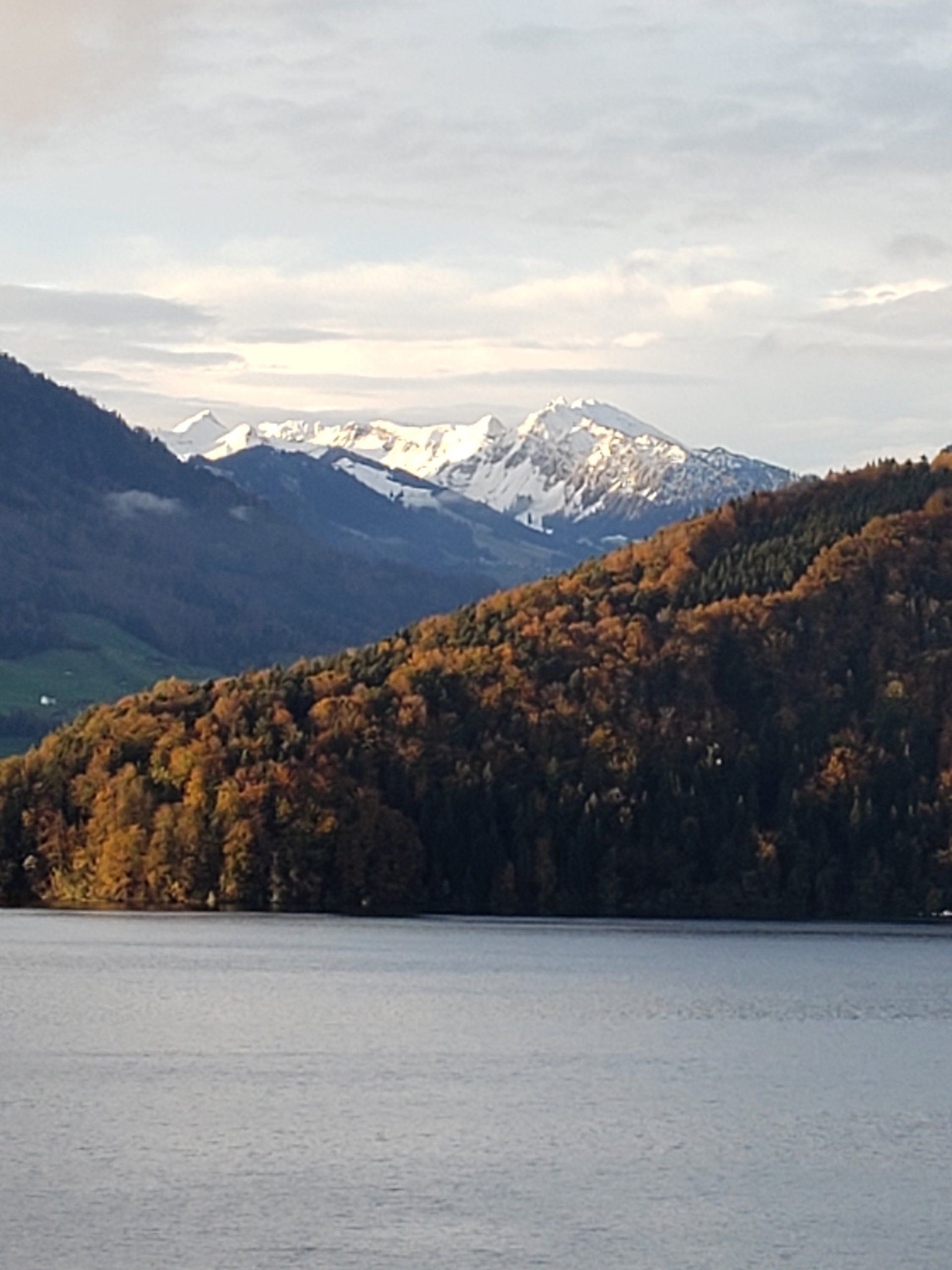 A lake with mountains in the background and trees on the shore