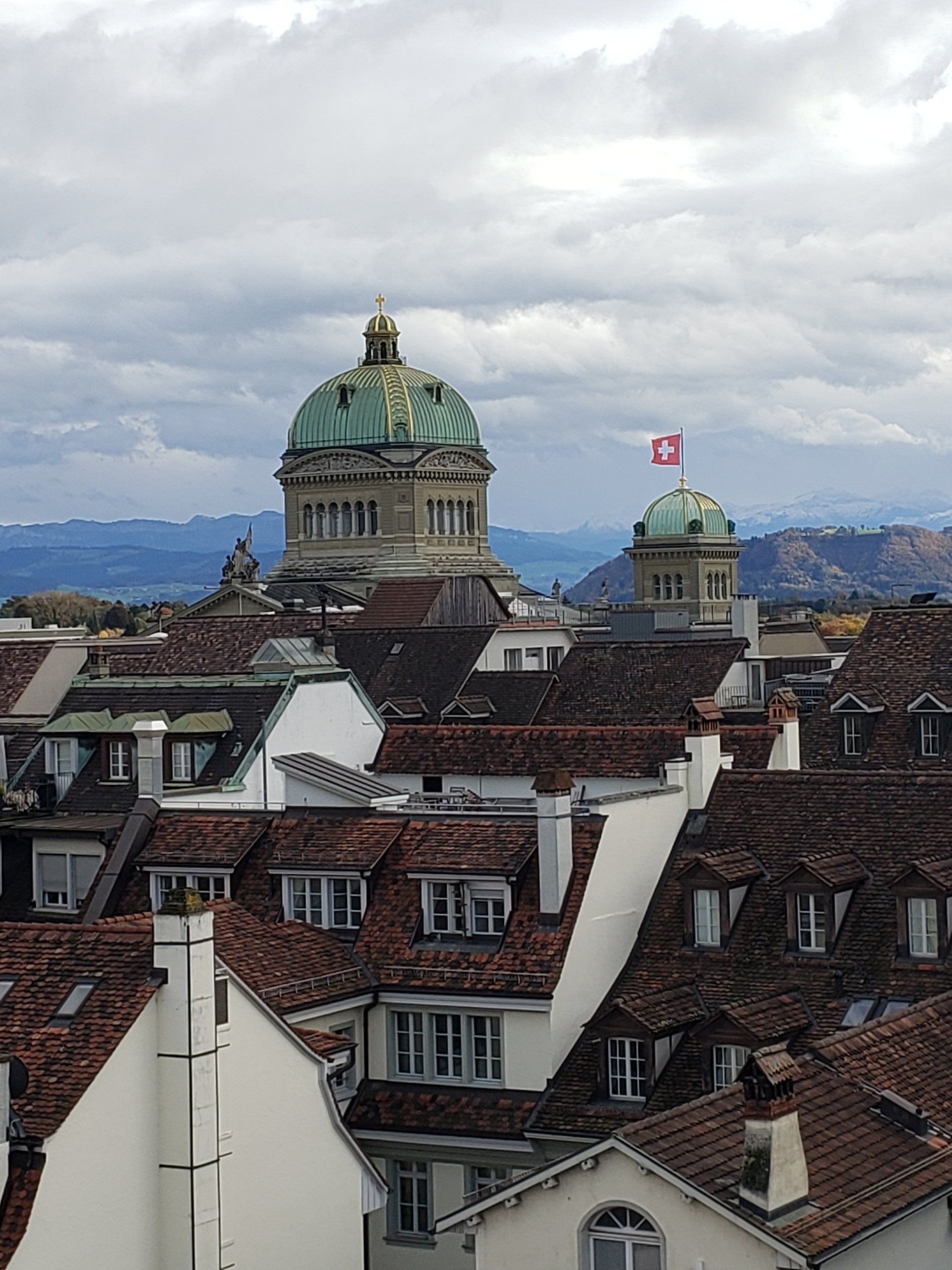 A city with a dome and a flag on top of it