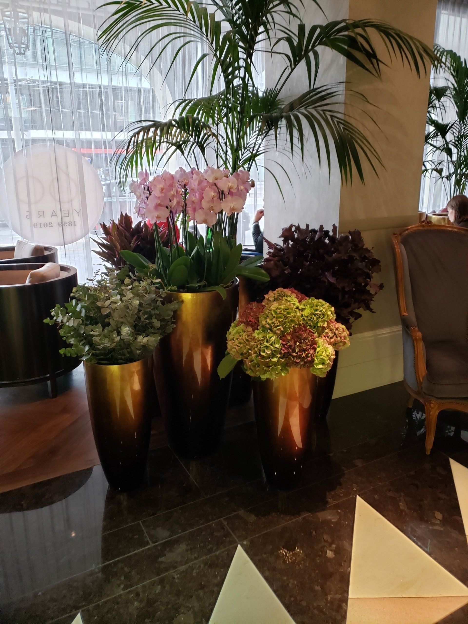 A room with a lot of potted plants and flowers