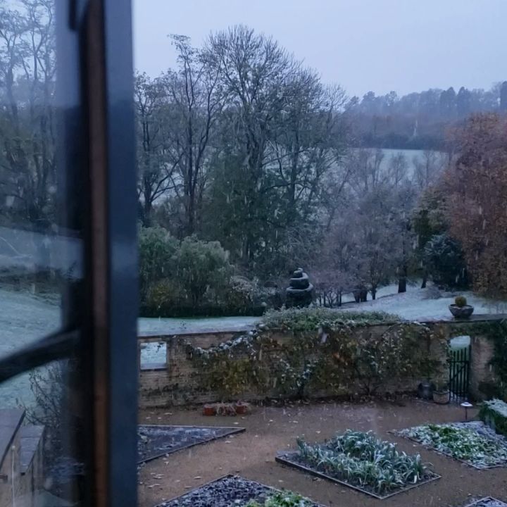 A view of a garden from a window on a snowy day.