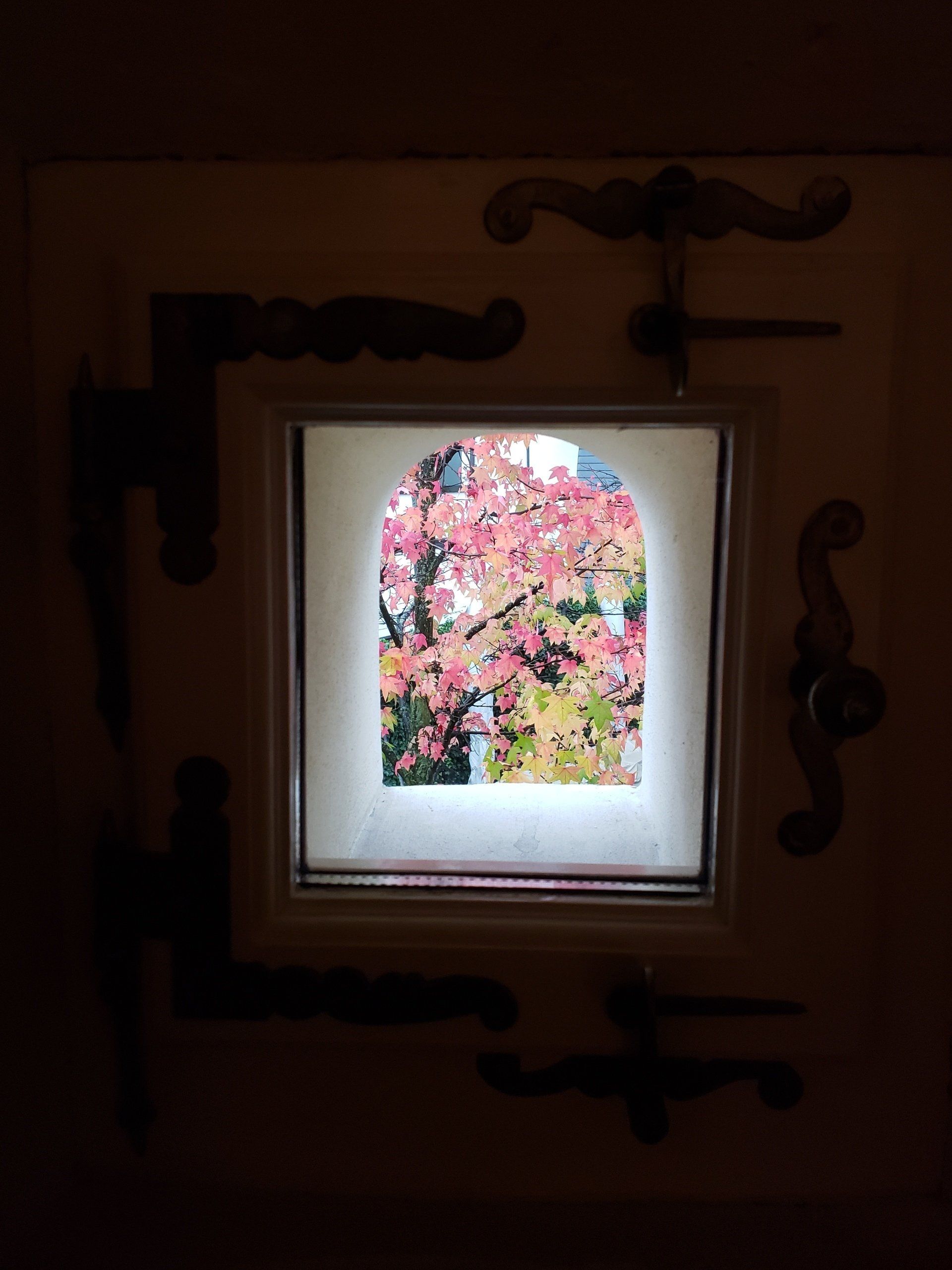 A window with a picture of a tree in it