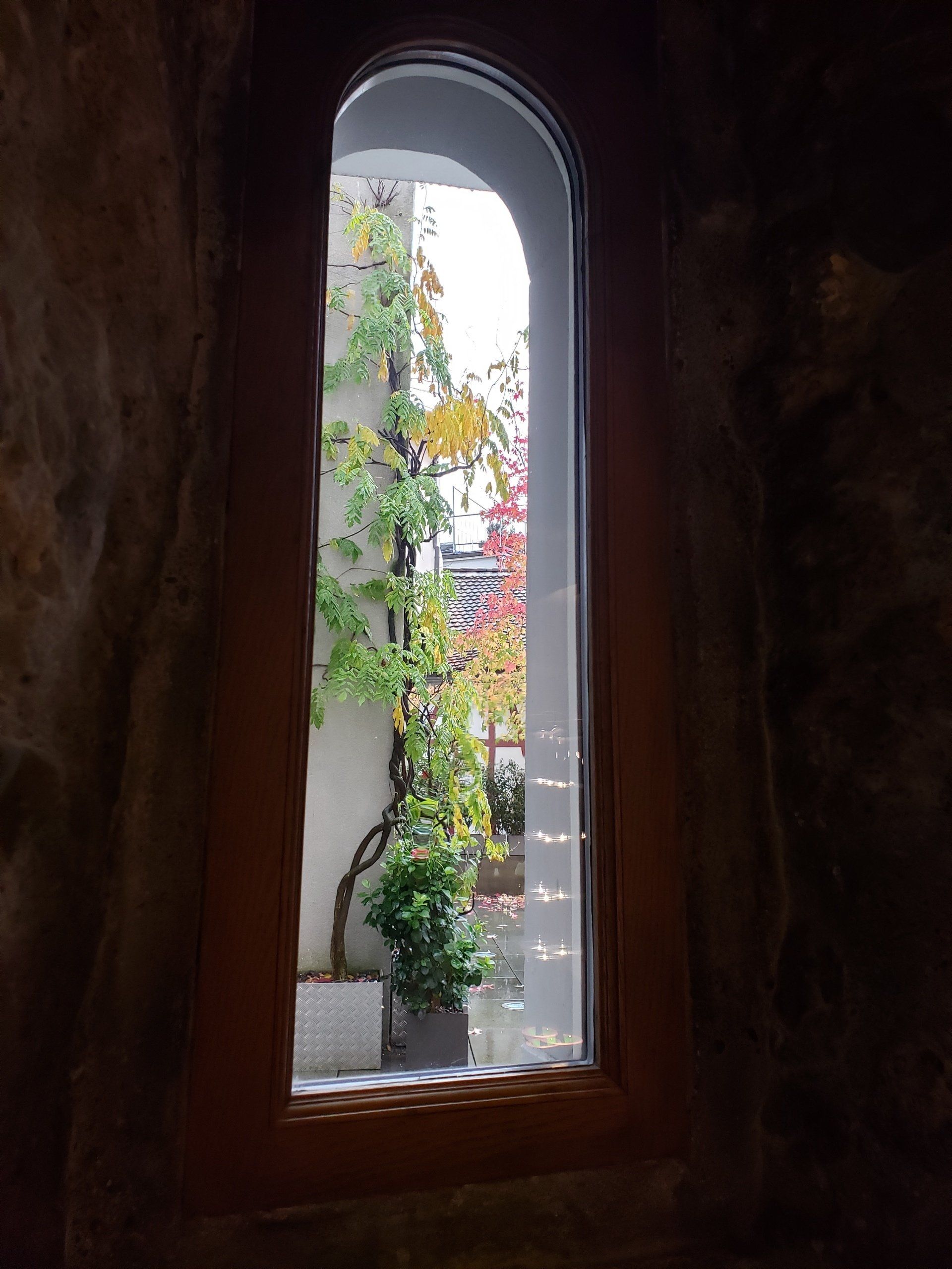 A window with a view of a building and trees