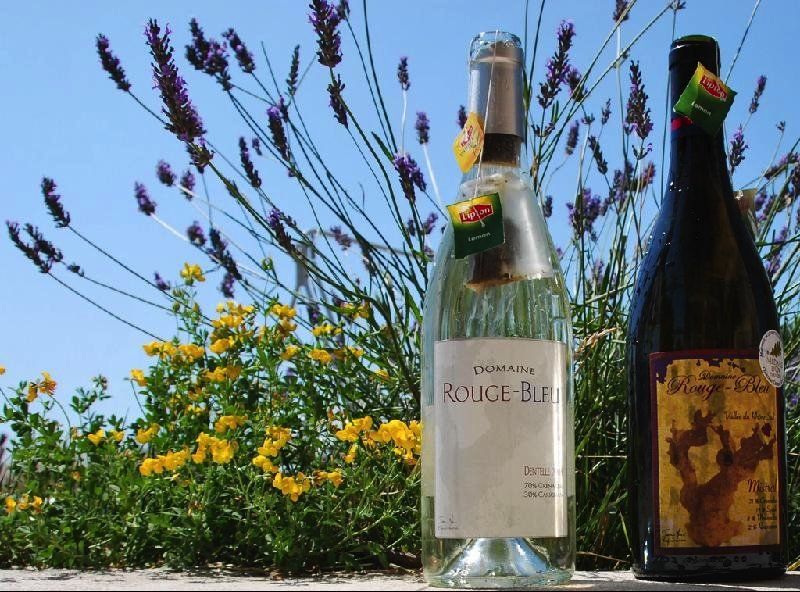 Two bottles of wine are sitting in front of a field of flowers