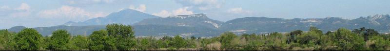 A blurry picture of a forest with mountains in the background.