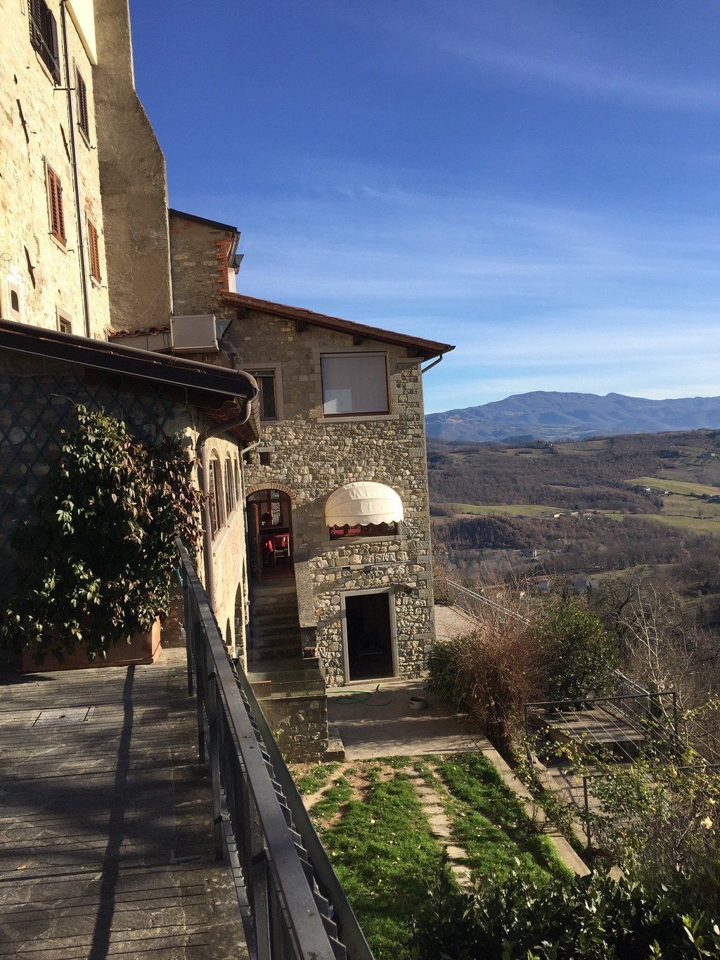 albero del pane