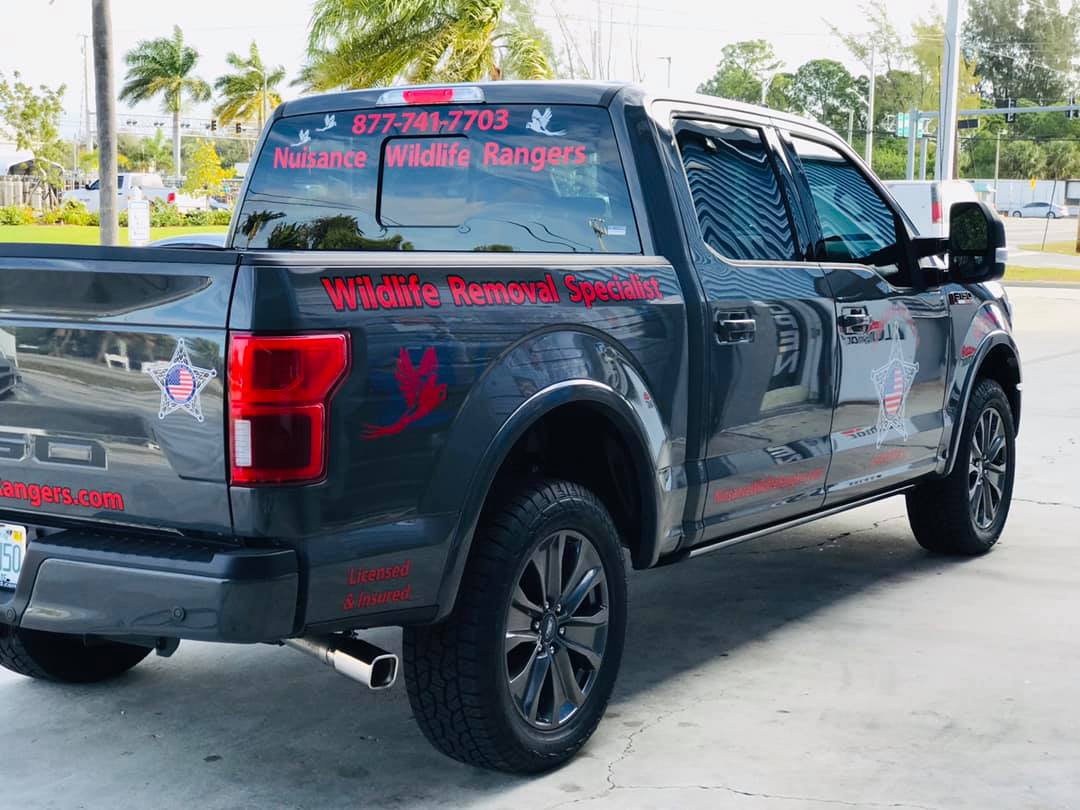 vehicle lettering Boynton Beach